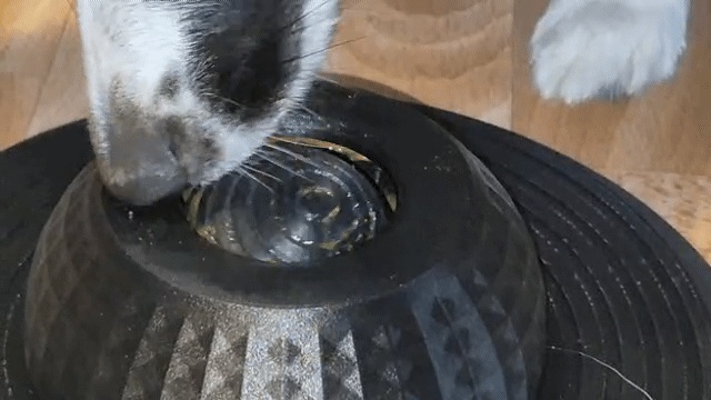 带滚球的舔食碗，带滚球的舔食碗