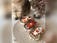 Pet Opener Set