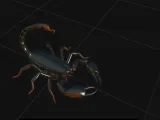 scorpion 1-0
