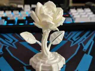 Cyber Rose
