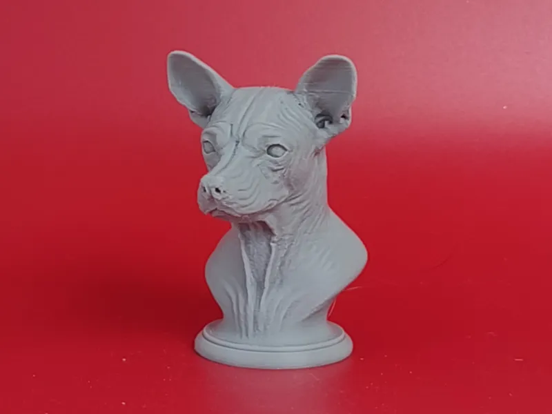Xoloitzcuintli Mexican Hairless Dog Bust