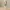 Elegant Emerald Lingerie — Plus Size