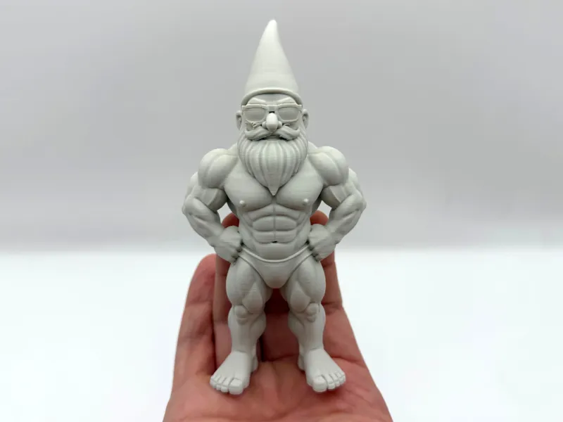 Summer Ripped Gnome