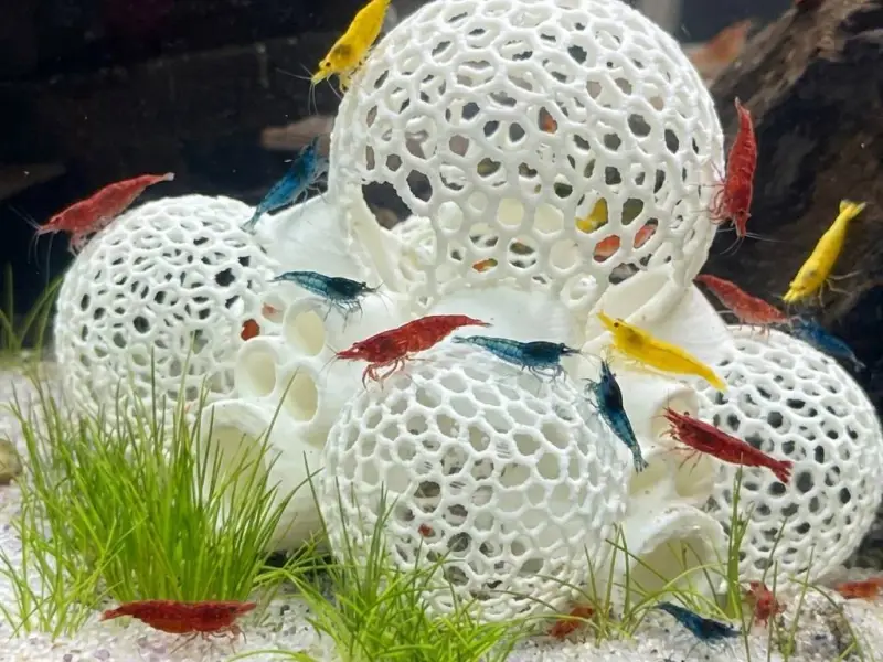 shrimp hotel for aquarium