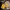 Wind-Up Cute Chick Toy in Crackable Voronoi Easter Egg