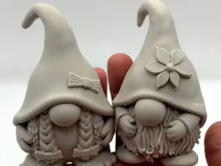 Cute Gnomes Couple