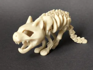 Articulated Skeleton Cat