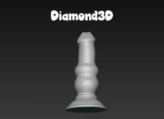 dildo 2 dick