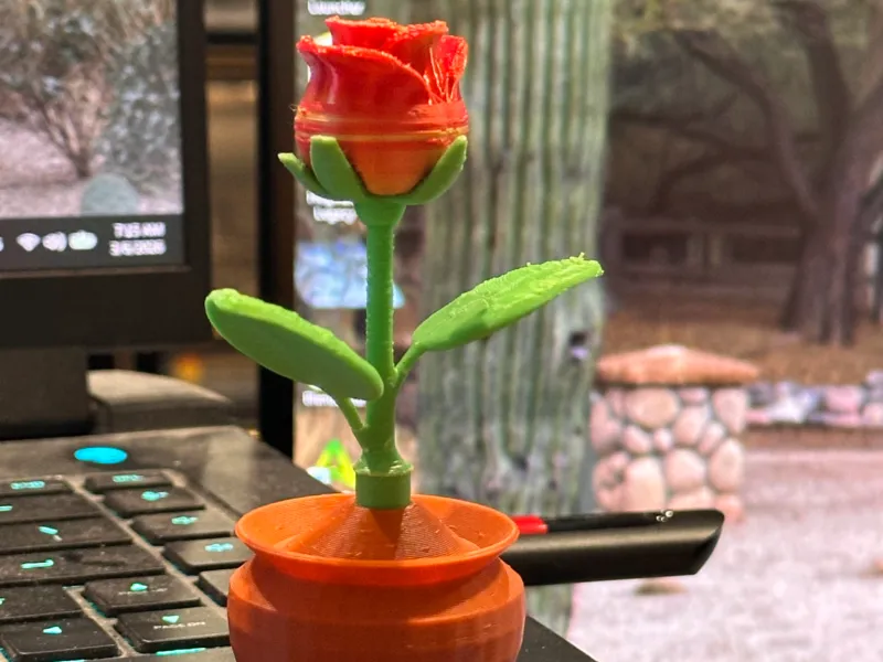 Rose in a Pot