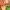 Minecraft Creeper Kurabiye Kesici