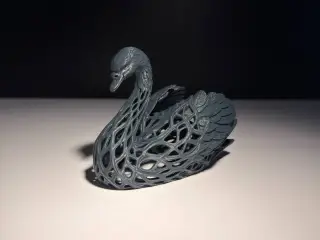 Swan