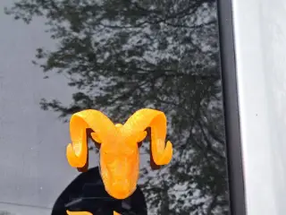 Dodge Window Setup