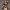 High Detail Bikini Figurine v9