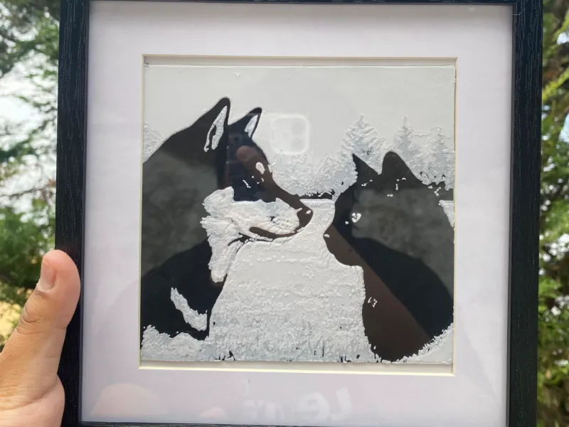 perro y gato retrato