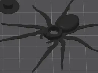 Spider Prank Joke