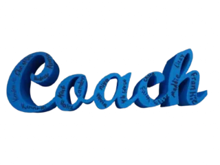 Script Coach Trophy