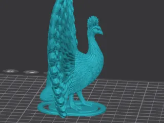 Peacock