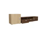 Modern TV Unit with Storage Cabinets-0