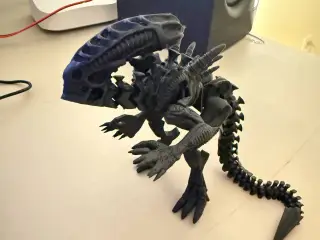 alien skeleleton