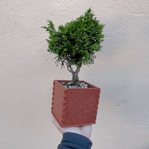 Holzkiste Klein Hoch - Blumentopf mit Schwalbenschwanzverbindung