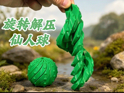 Spinning and decompressing cactus旋转解压仙人球