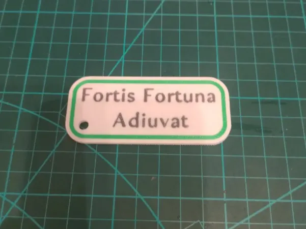 FORTIS FORTUNA ADIUVAT – Брелок-значок