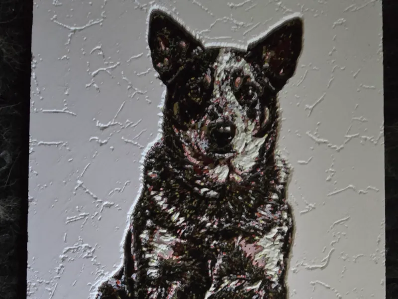 Australian Cattle Dog