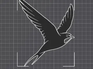 SWALLOW