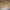 Cake Topper - Lana