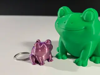 Cute Frog