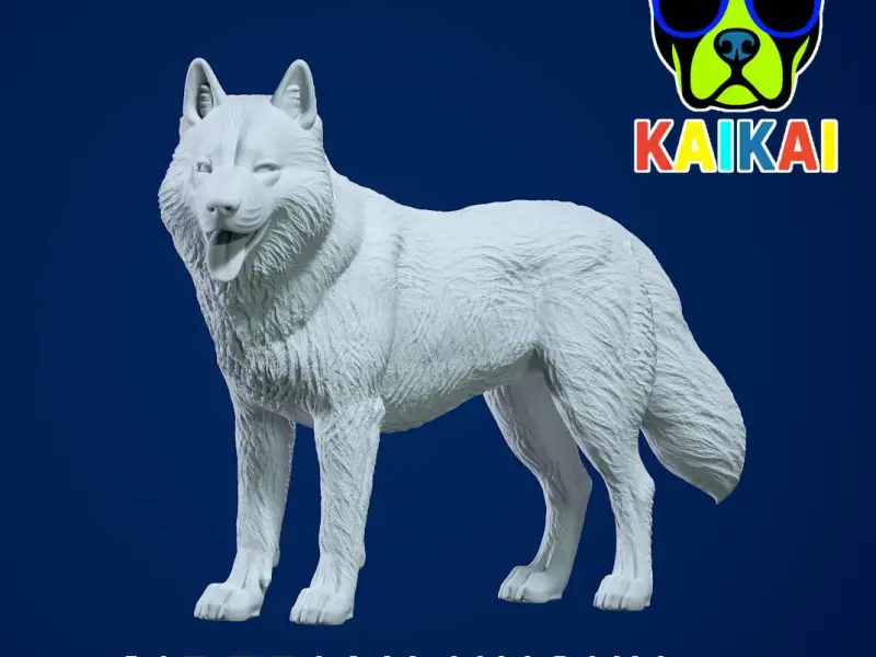 Siberian Husky - Chukcha model - 3D print
