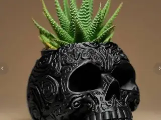 Skull Shaper Pot/Planter Cover