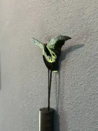 Dragon Wall Hanger (Command Hook Compatible)-0