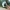 Minecraft Pickaxe (Diamond, NO CFS)