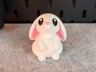 Cute Bunny