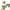 Leo_Herzen 1