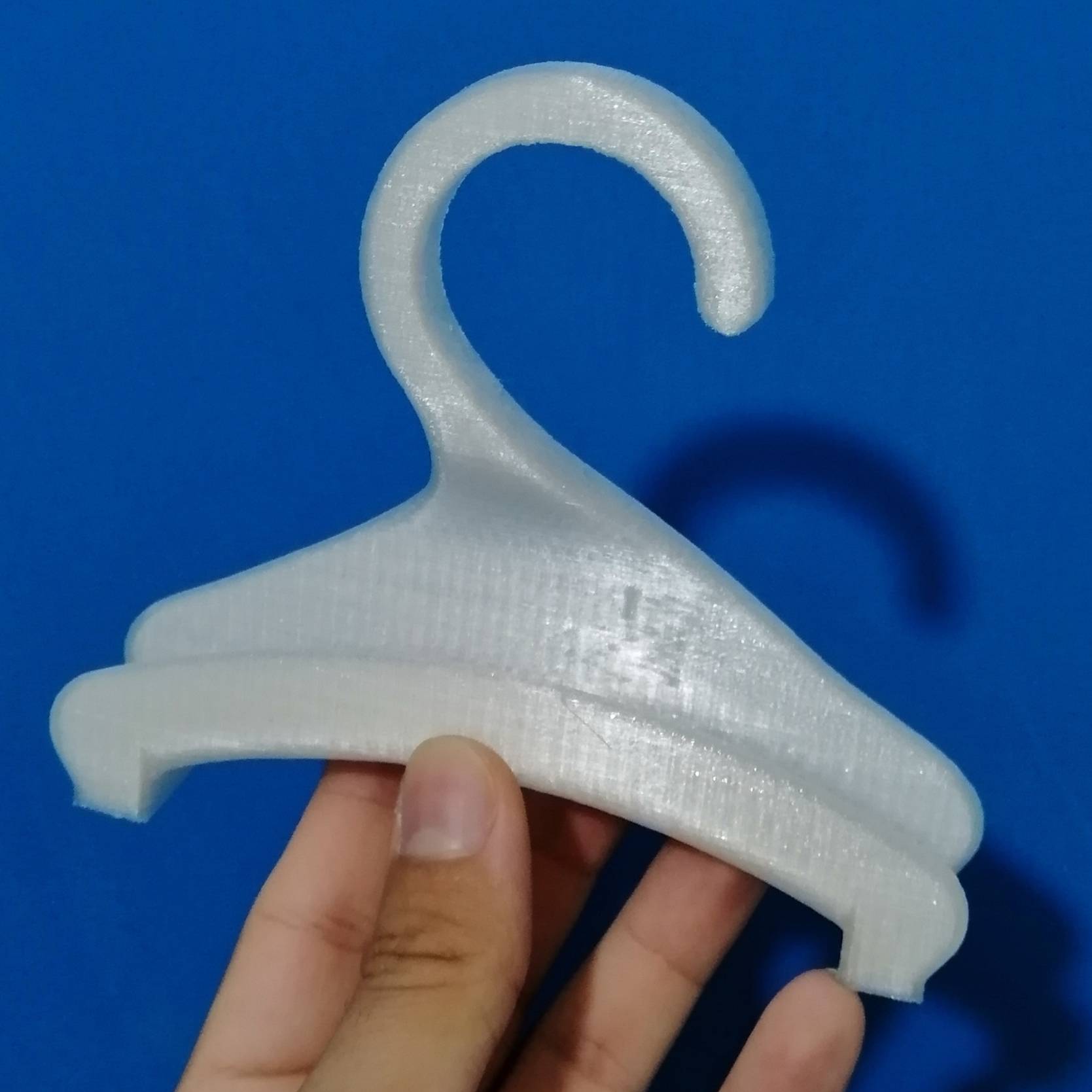 Bag Hanger for Closet