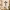 Heart Cross 2D Wall Art