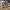 McLaren Lando Norris Jersey displaycc