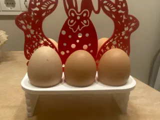 Easter egg holder
