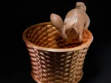 Curious Bunny - Easter Basket-0