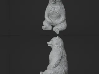 Bear