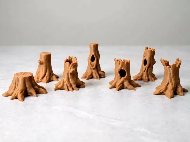 Tree Trunks and Stumps