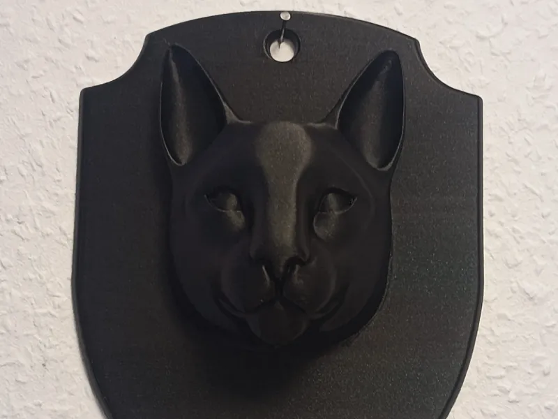 Cat / Katze