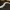 Articulating eel