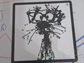 gato peludo