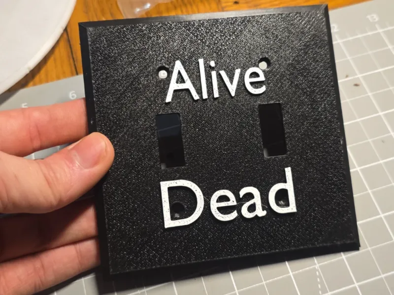 Dead or Alive Light Switch Dual