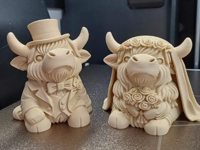 This charming Highland cow bride and groom set captures the