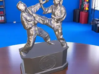 Karate Tournament Award - 1st, 2nd, & 3rd Place