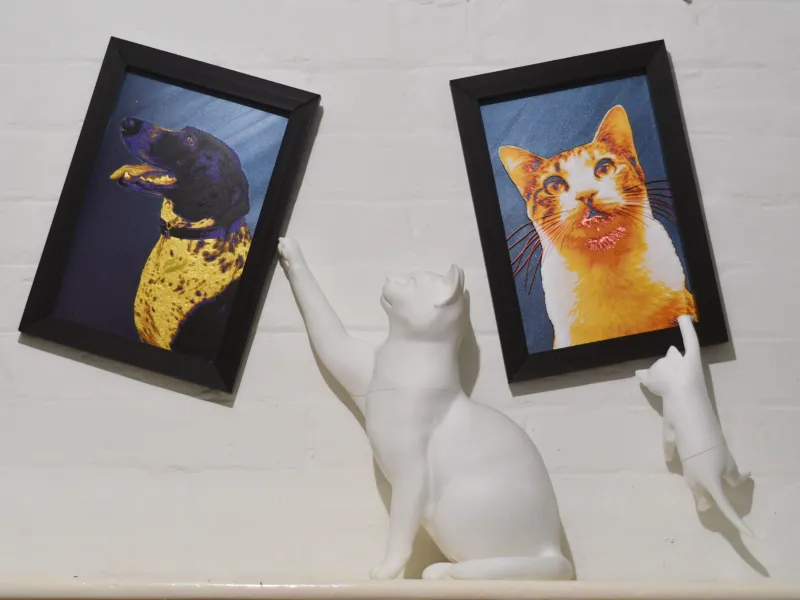 Cats Being Cats Picture Frame Collection